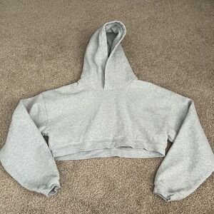 Aritzia Cropped Hoodie